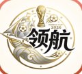 领航国际